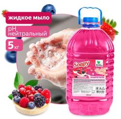 Жидкое мыло AVS CG Ягодный десерт CG8229 5 литров