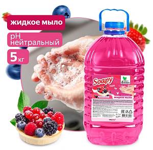 Жидкое мыло AVS CG Ягодный десерт CG8229 5 литров